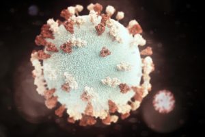 zika virus and pregnancy