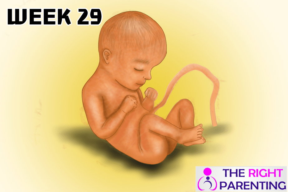 Pregnancy Symptoms Week 29