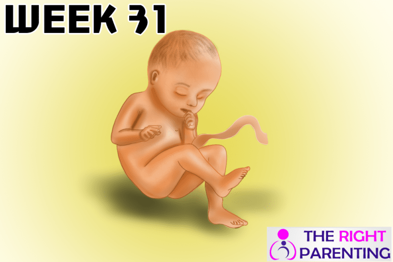 Pregnancy week 31