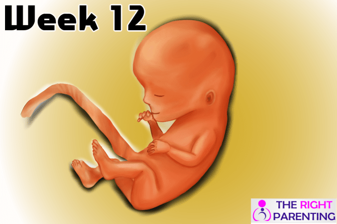 12 weeks pregnant symptoms