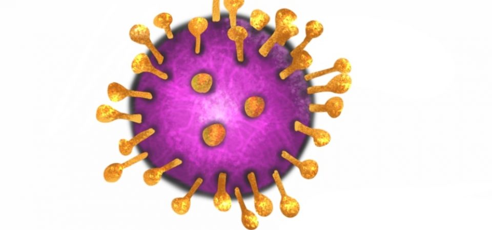 Coronavirus in pregnant women
